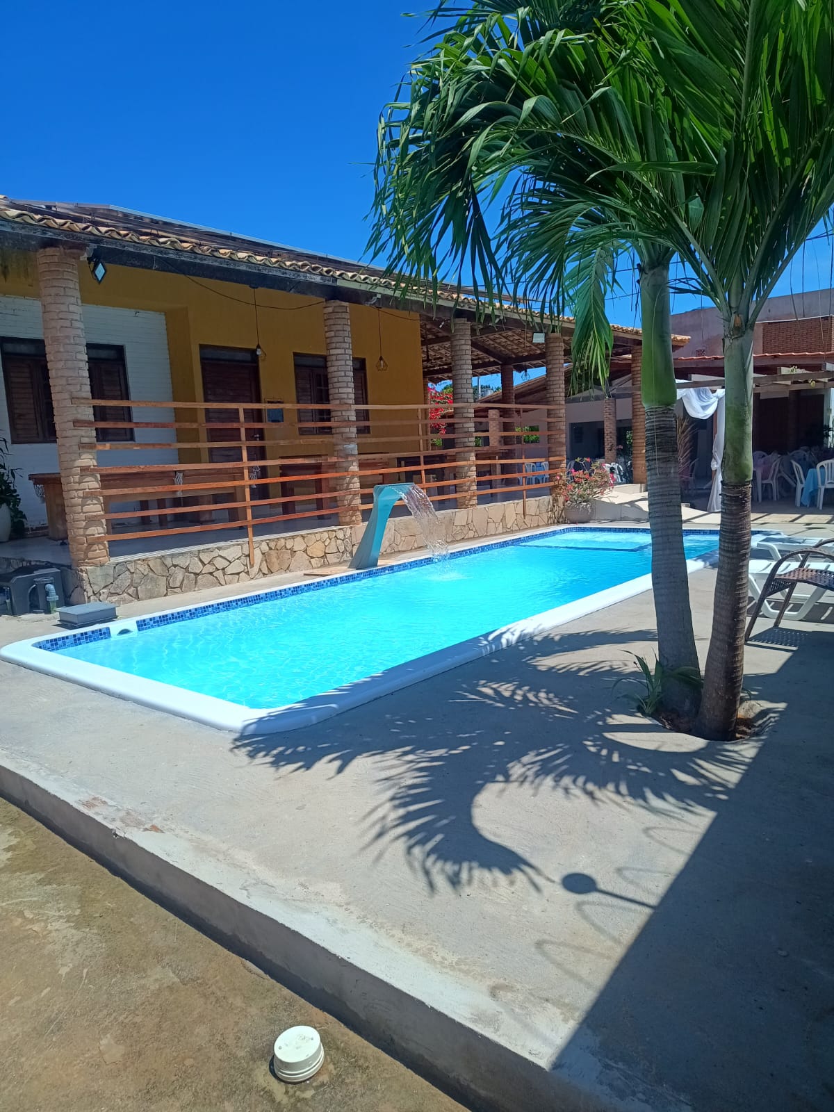Piscina com cascata e coqueiro